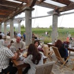 Wolfer Estates Vineyard