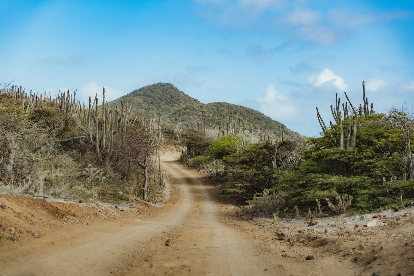 Bonaire Says Bon Bini with Eased EntryRequirements and FirstEver Rum