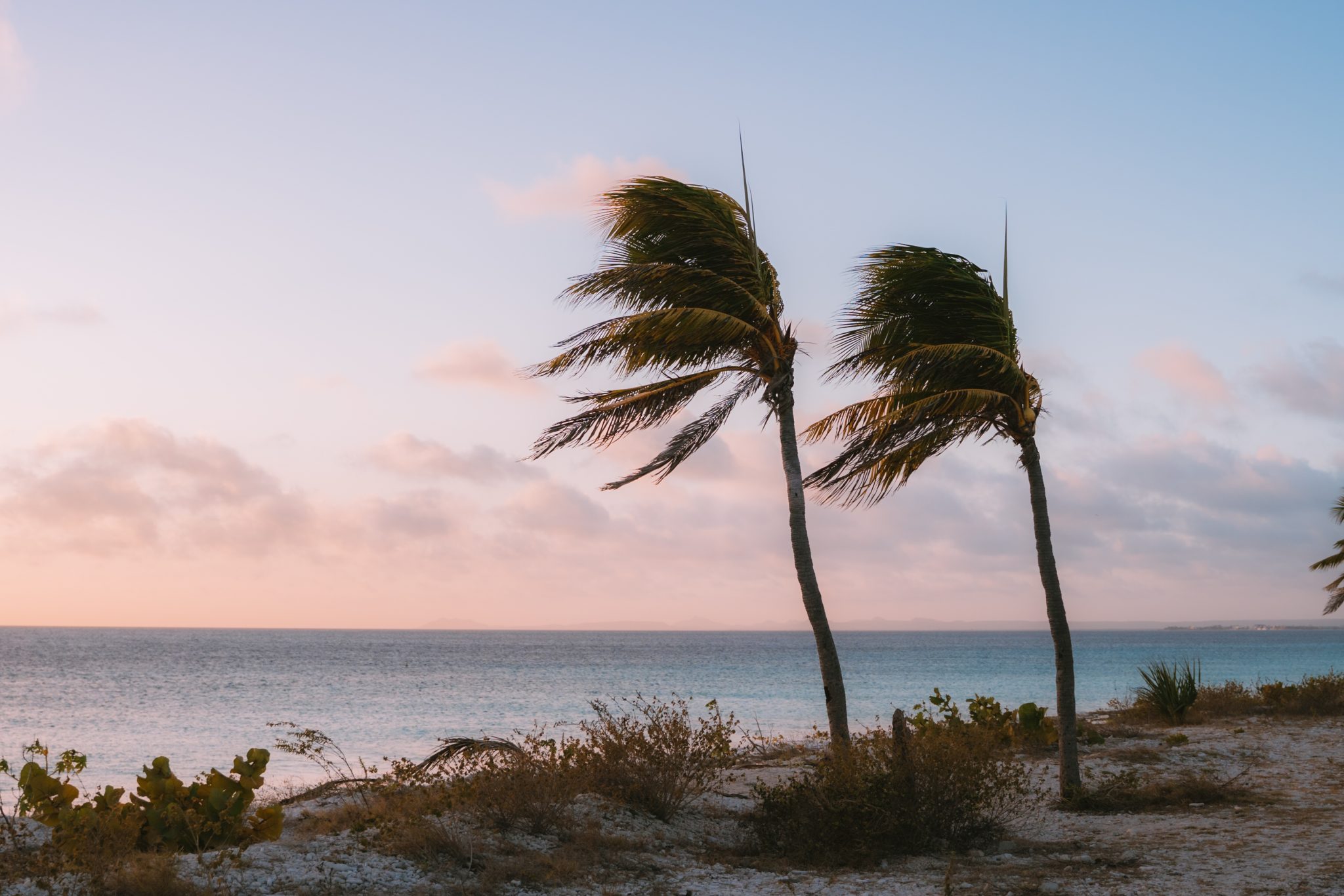 Bonaire Says Bon Bini with Eased EntryRequirements and FirstEver Rum